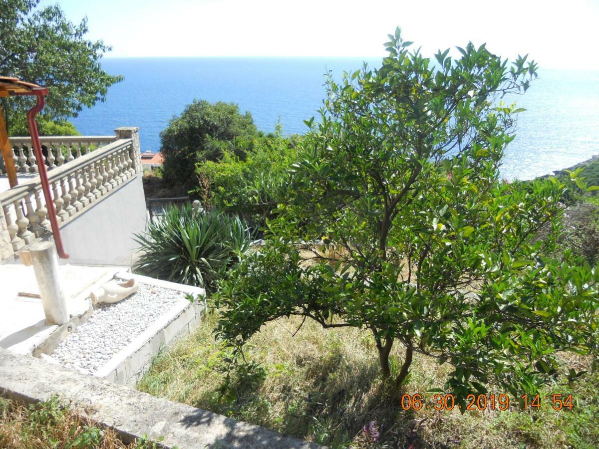 Appartamento Blue Horizon Dobra Voda Esterno foto